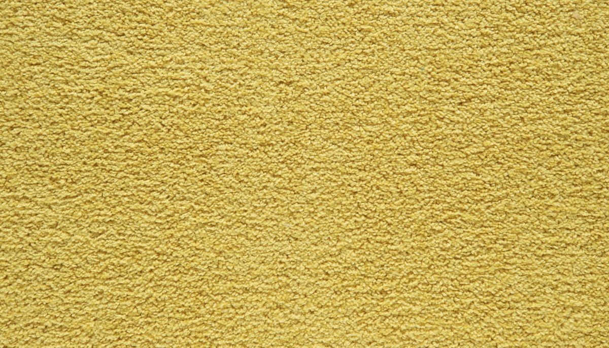 Showtime I carpet in Zesty Spotlight