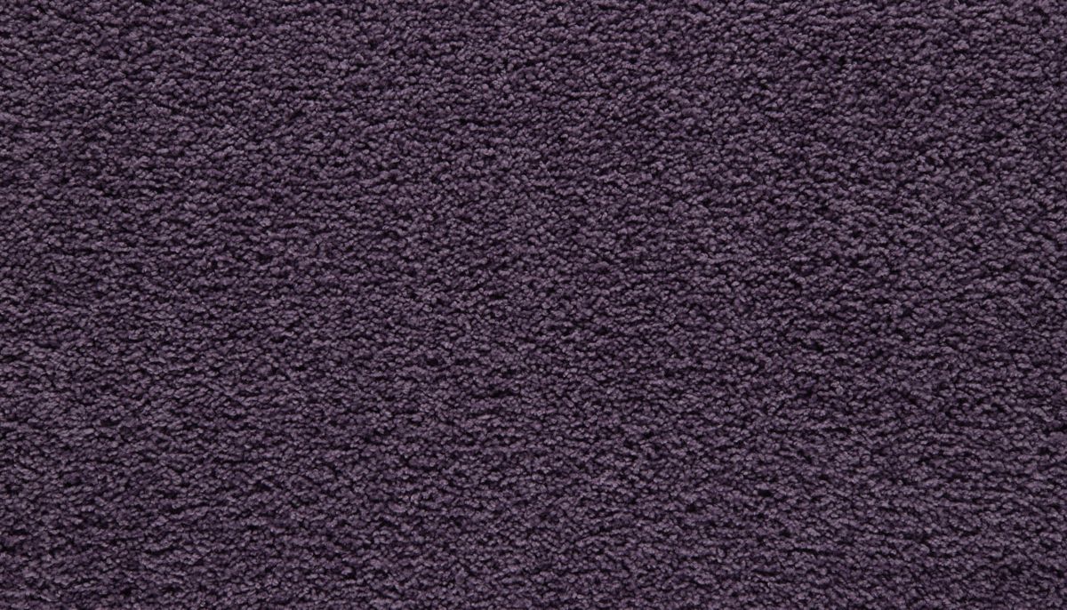Showtime I carpet in Purple Reign