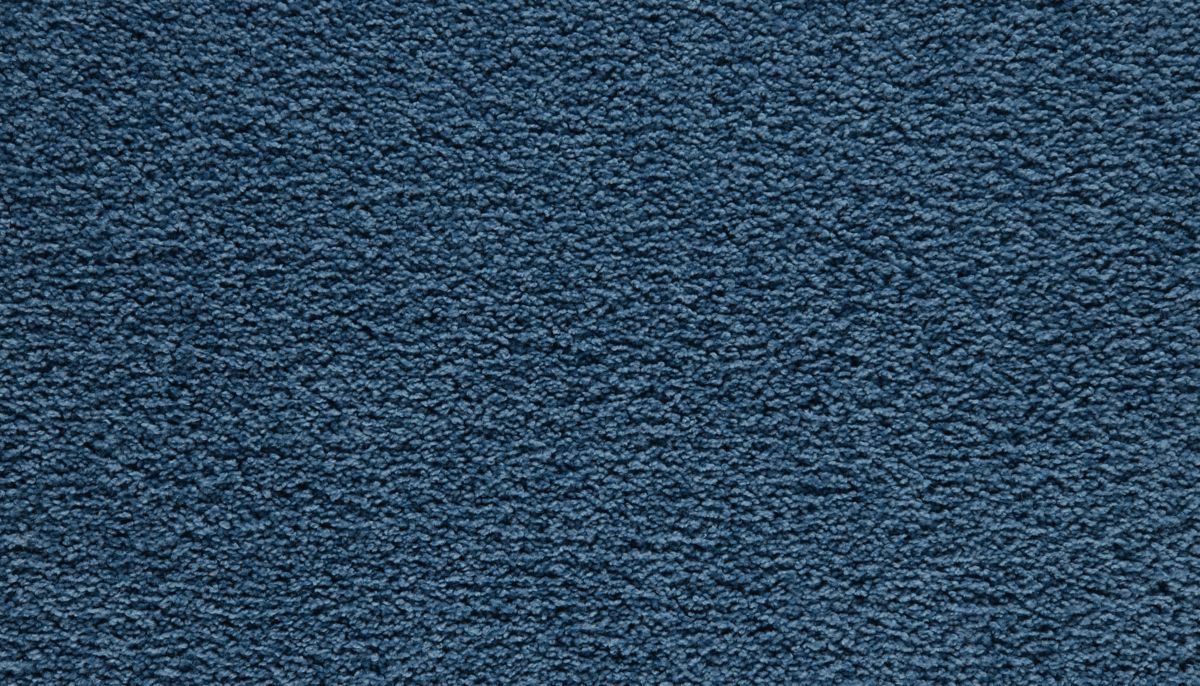 Showtime I carpet in Cue The Blue