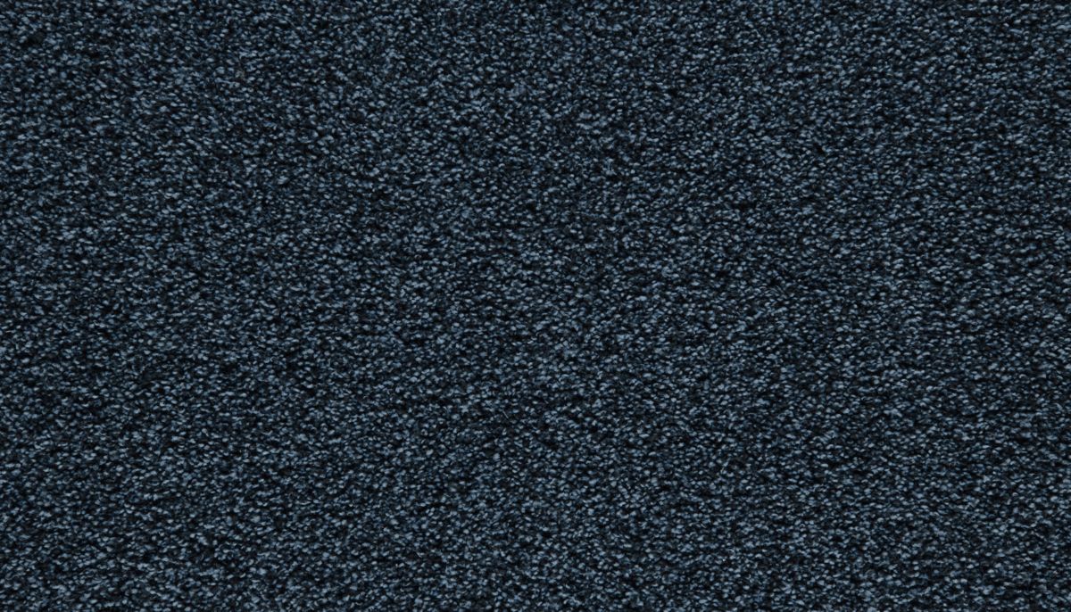 Showtime I carpet in Midnight Matinee