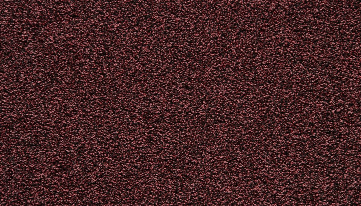 Showtime II carpet in Razzmatazz