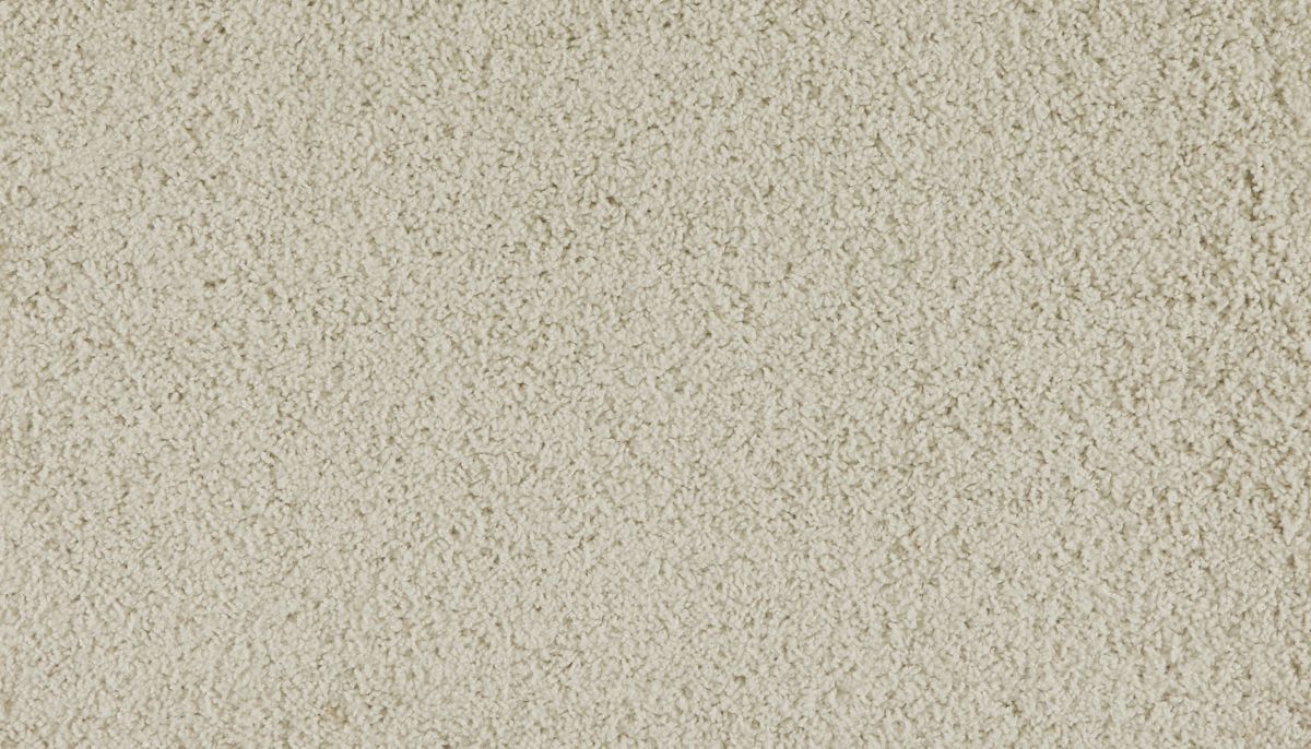 Marciano carpet in Voyager