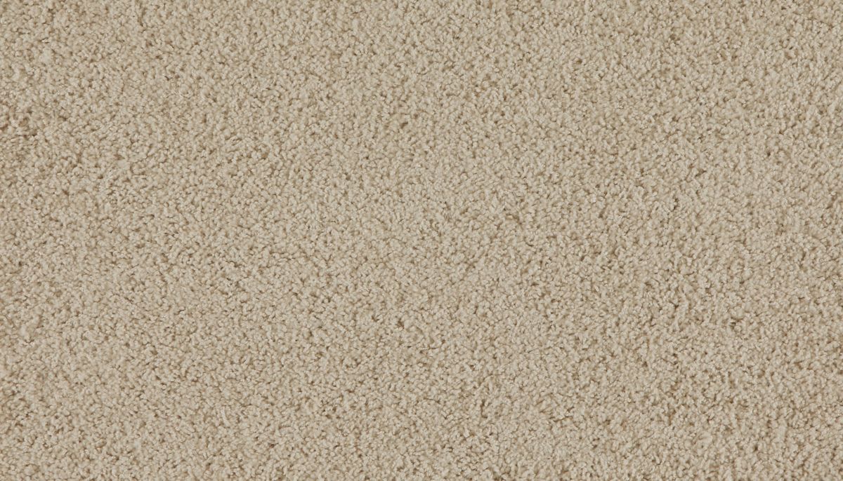 Marciano carpet in Trailhead