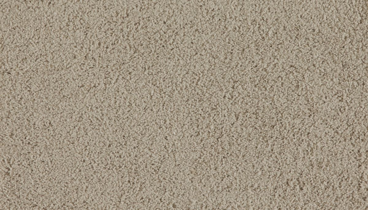 Marciano carpet in Pioneer