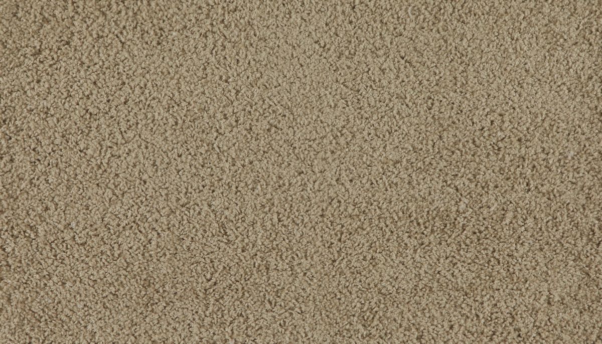 Marciano carpet in Wild Honey