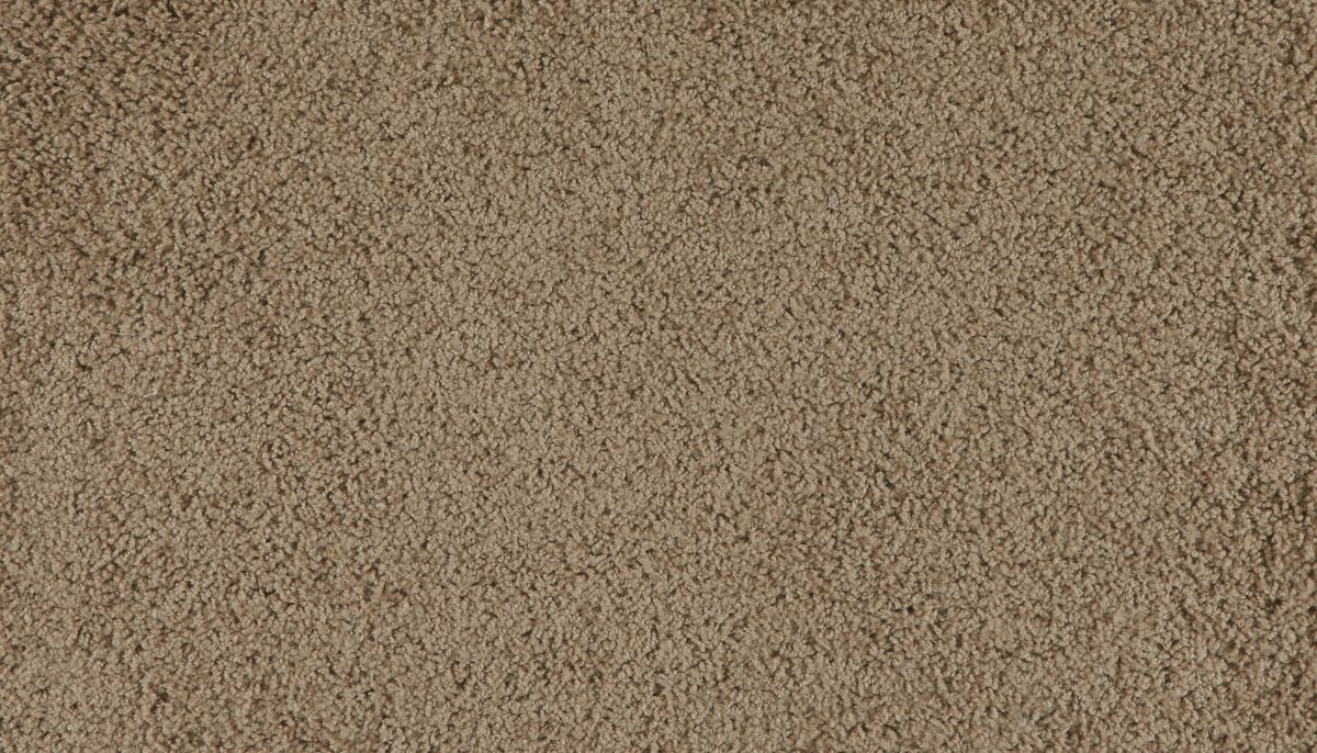 Marciano carpet in Chestnut Hill