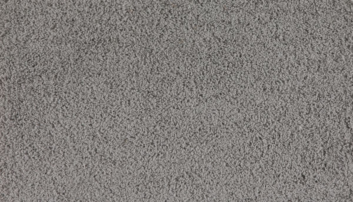 Marciano carpet in Maplewood