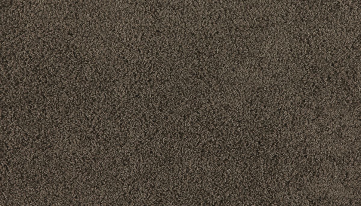 Marciano carpet in Cornfield
