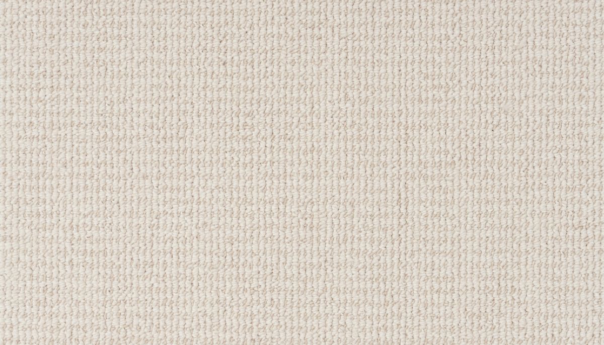 Terra carpet in Meridian