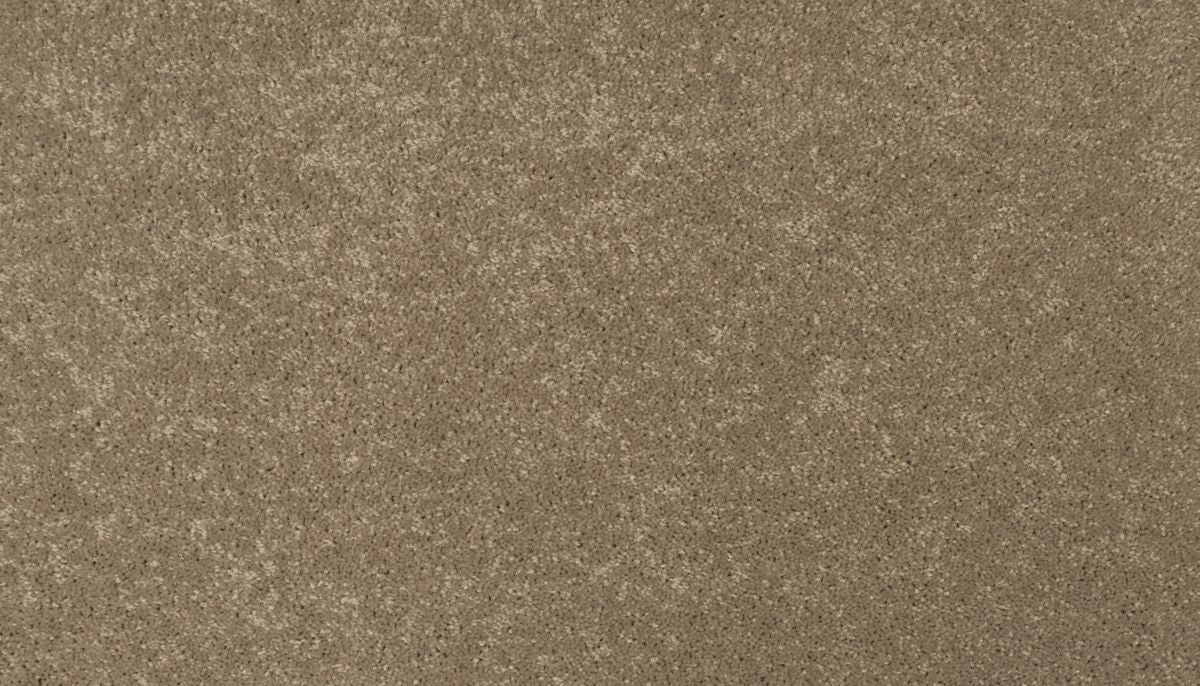 Essential Collection carpet in Desert Star