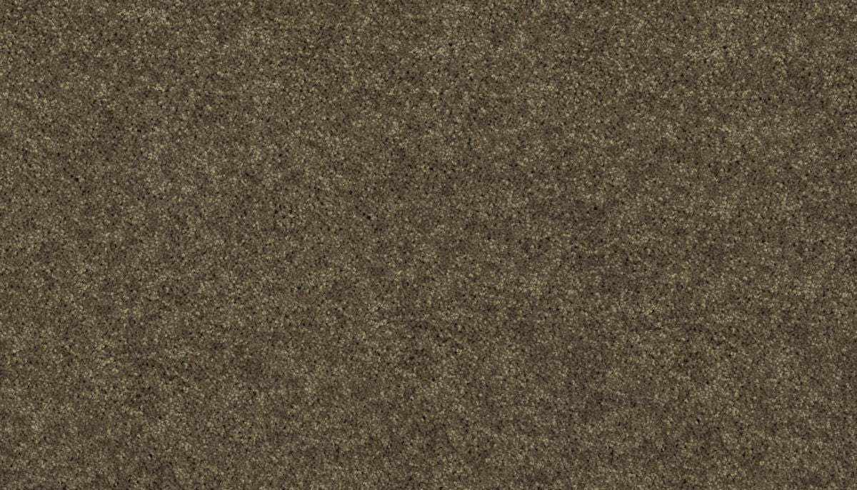 Essential Collection carpet in Tumbleweed