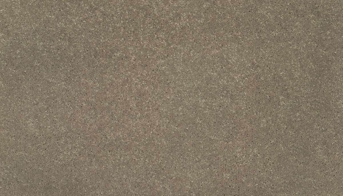 Essential Collection carpet in Teton Range