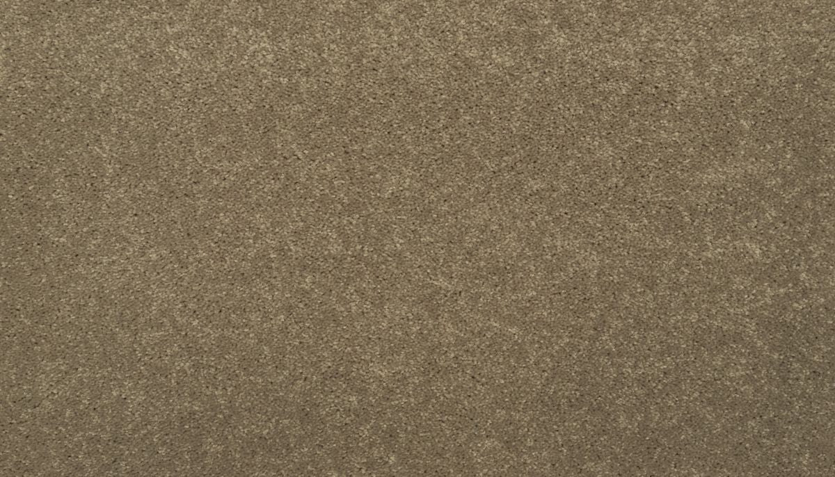 Essential Collection carpet in Pioneer