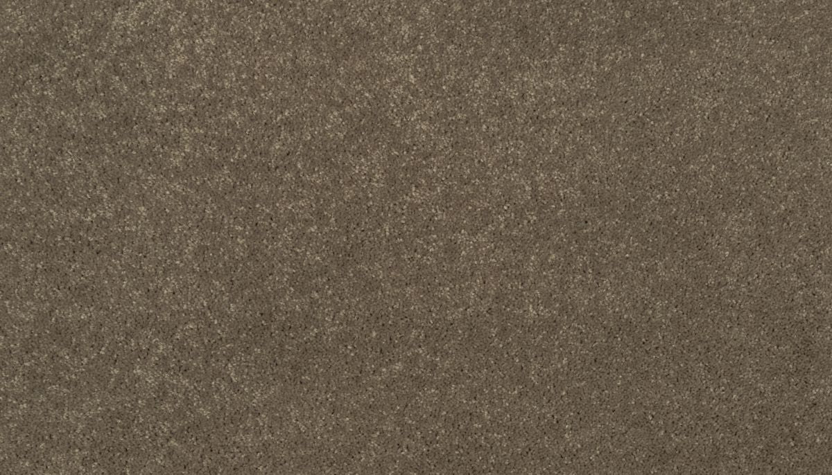 Essential Collection carpet in Antelope