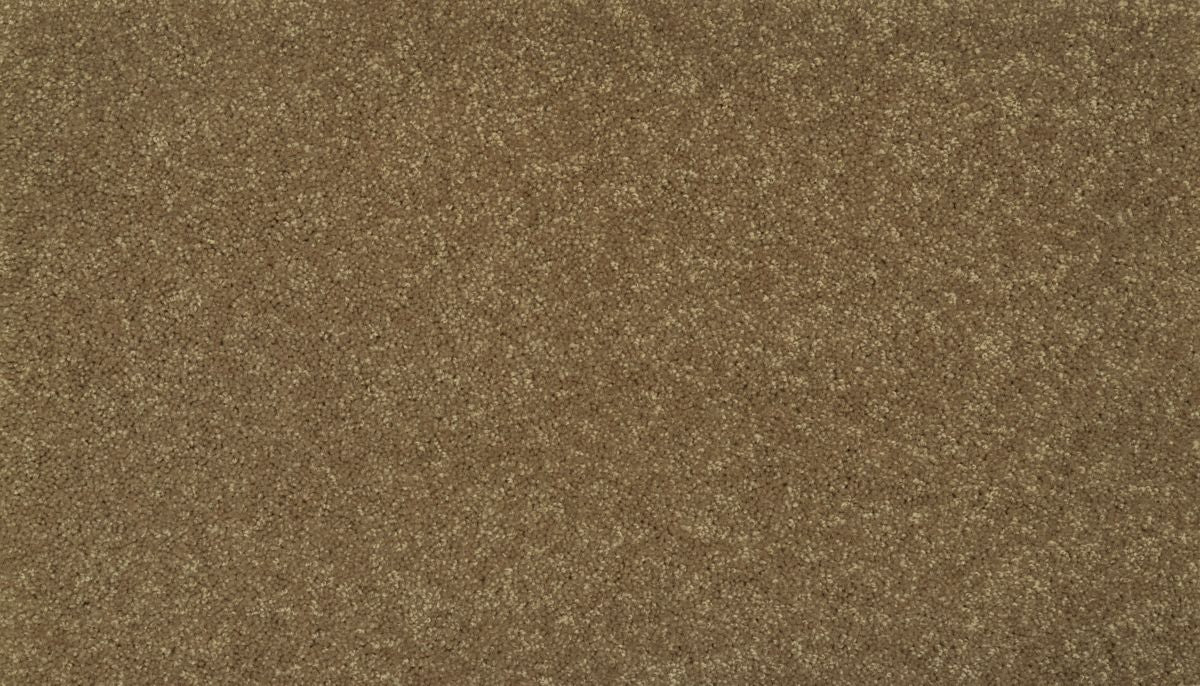 Essential Collection carpet in Buffalo Creek