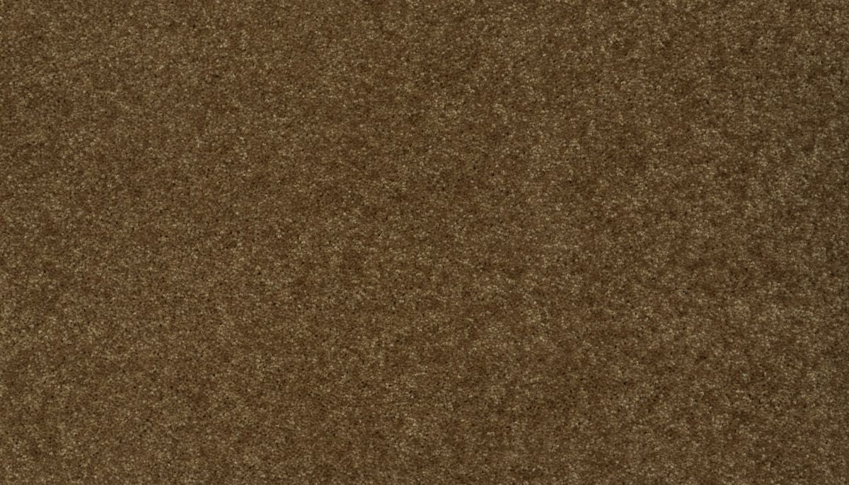Essential Collection carpet in Rich Earth