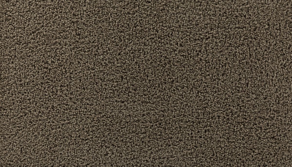 High Hand II carpet in Wilderness