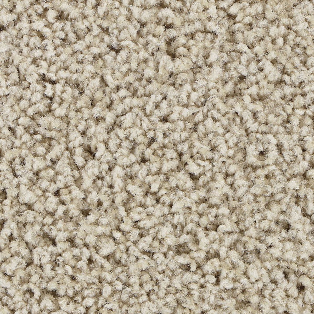 High Hand II carpet in Full Sail