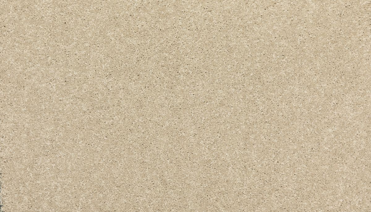 Modern Story I carpet in Stone Lion
