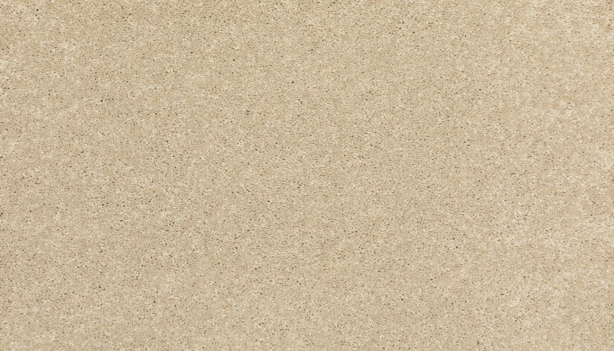New Statement I carpet in Seashells