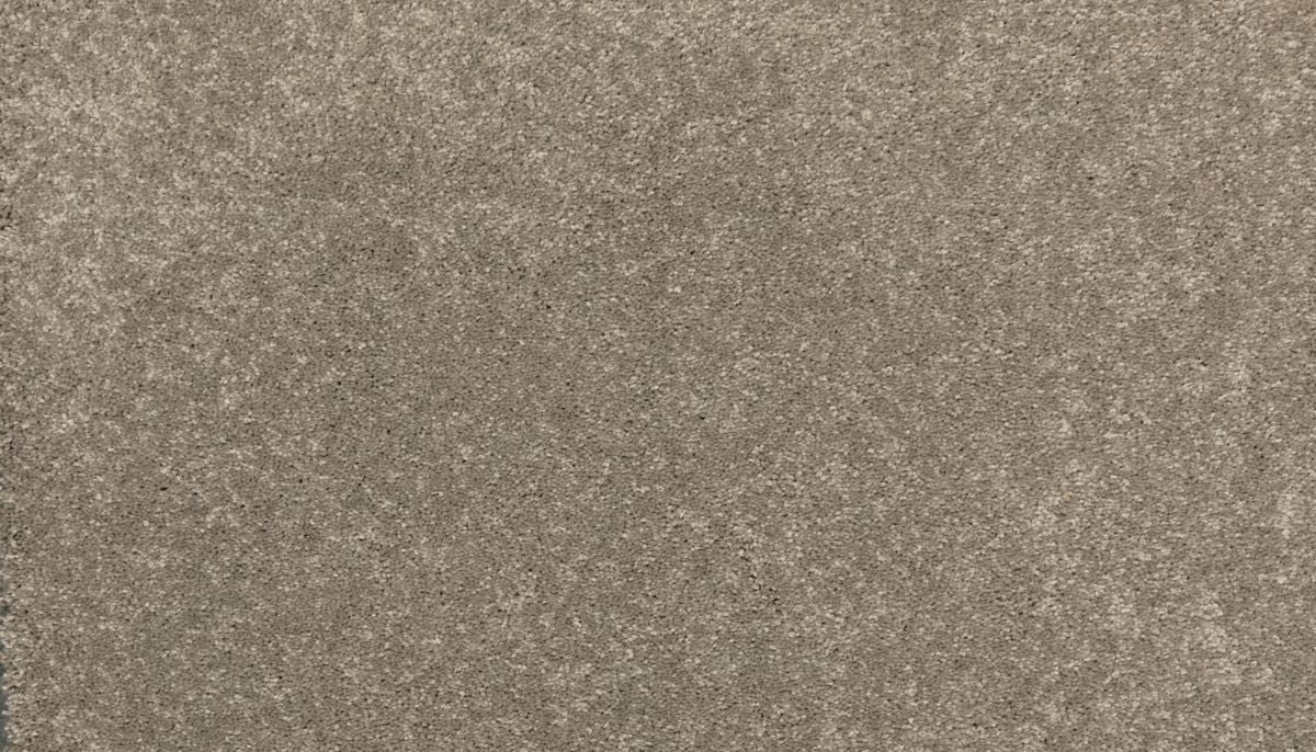 New Statement I carpet in Dakota
