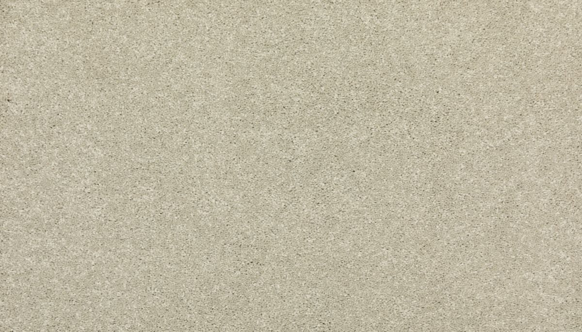 New Statement I carpet in Early Frost