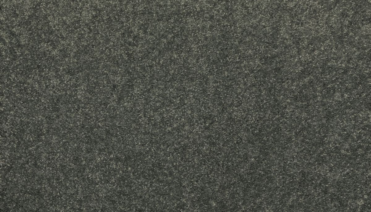 New Statement I carpet in Retreat
