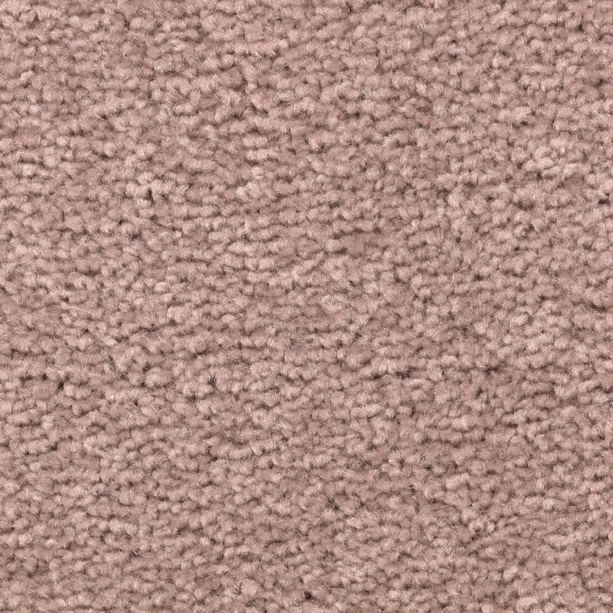 Vivid Instinct carpet in Rose