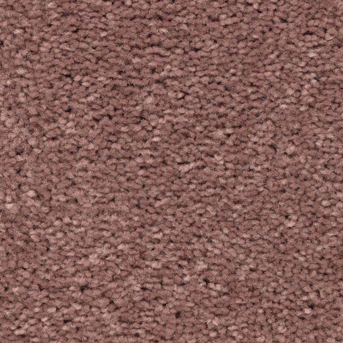 Vivid Instinct carpet in Strawberry