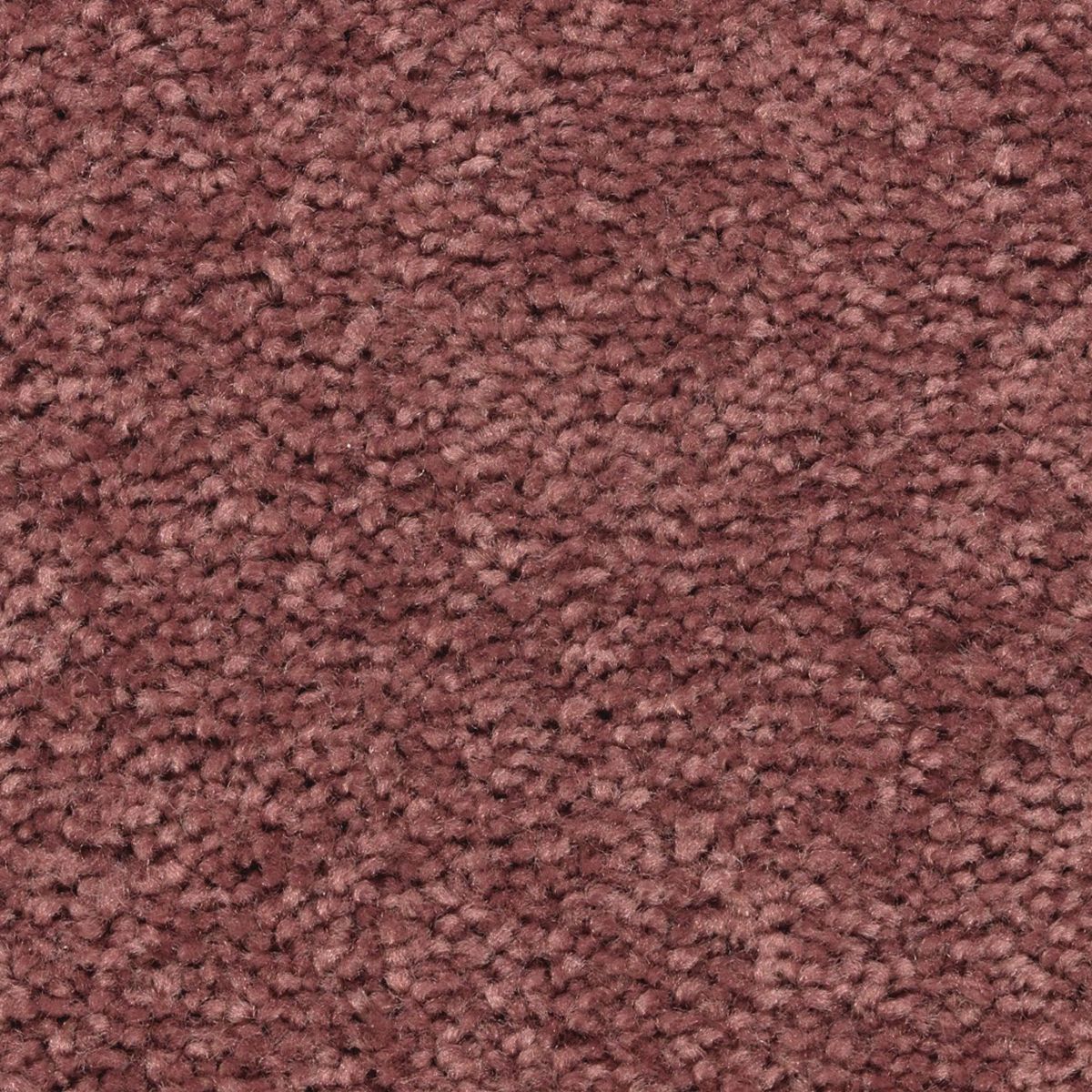 Vivid Instinct carpet in Intrigue