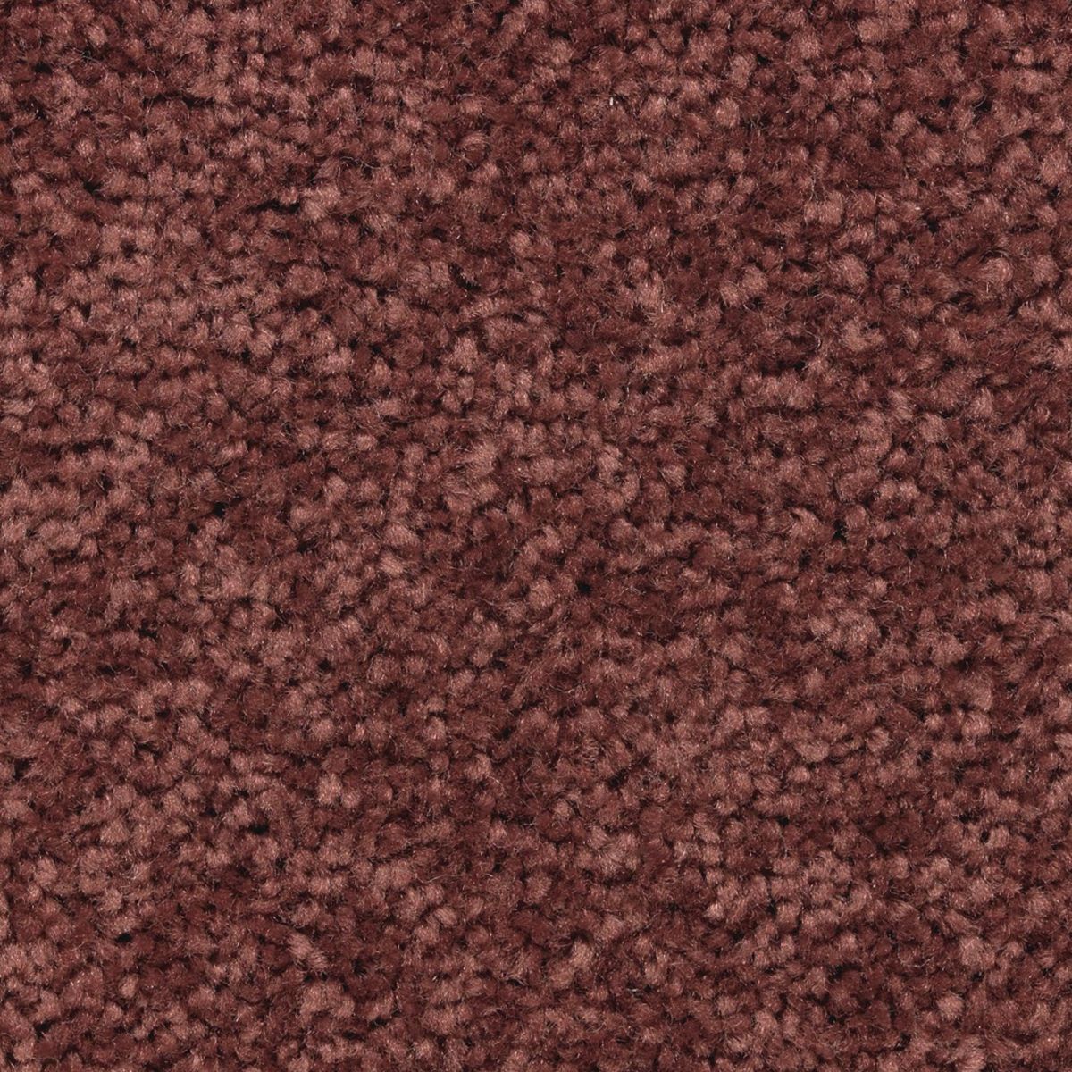 Vivid Instinct carpet in Red Wine