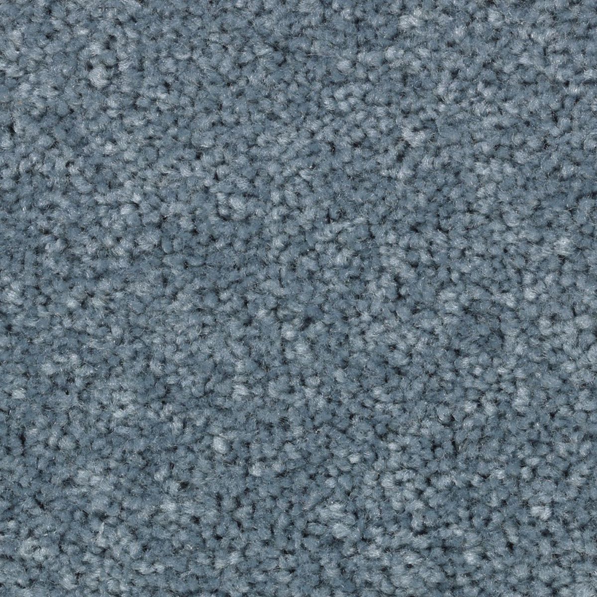 Vivid Instinct carpet in Brisk