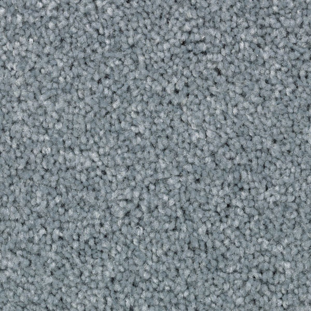 Vivid Instinct carpet in Cool Vista