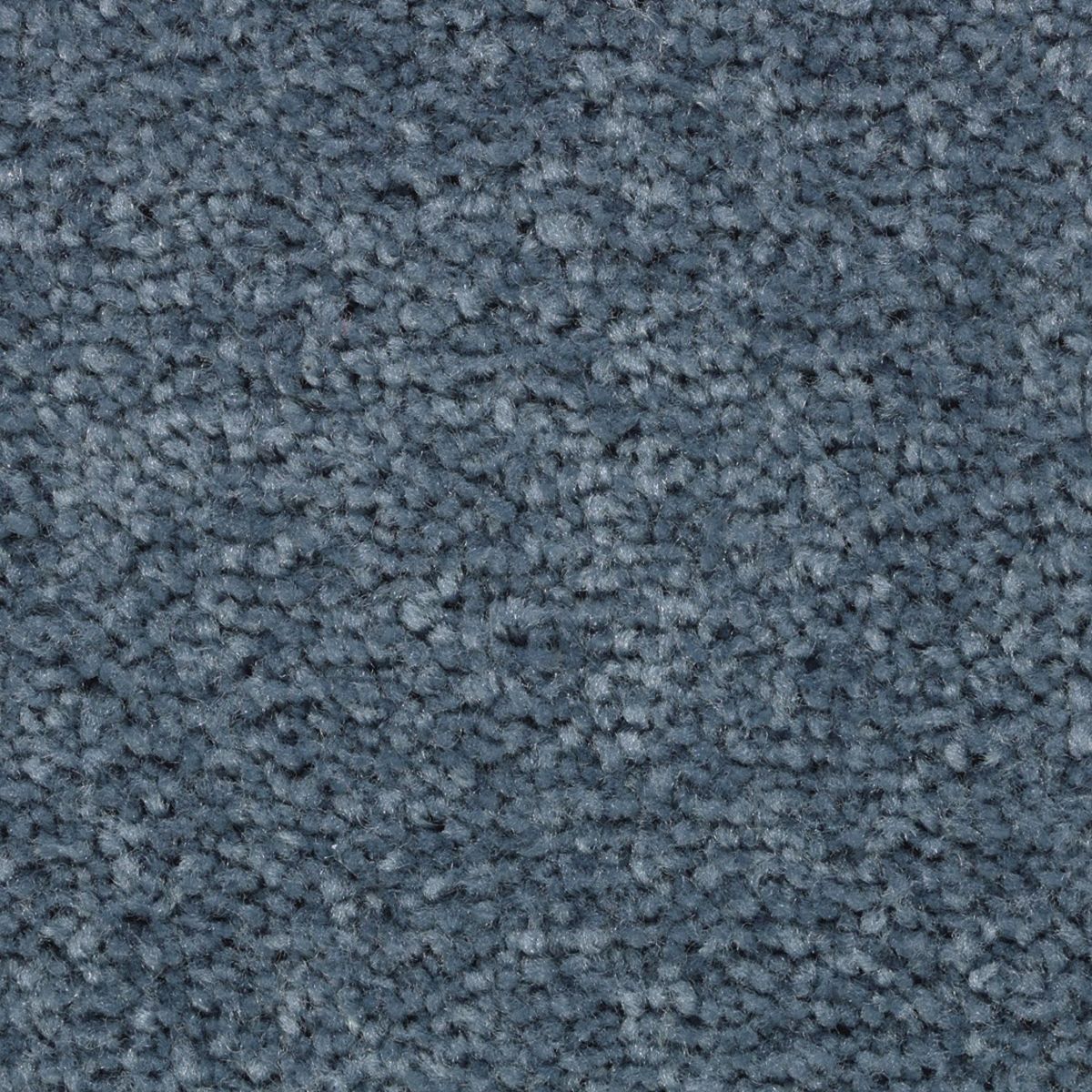 Vivid Instinct carpet in Venetian