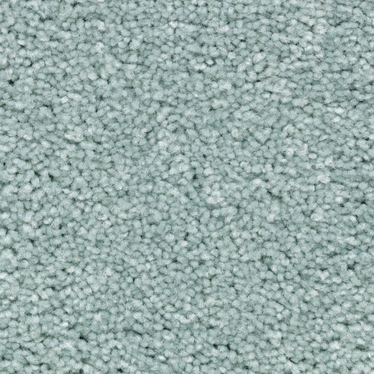 Vivid Instinct carpet in Spring Frost