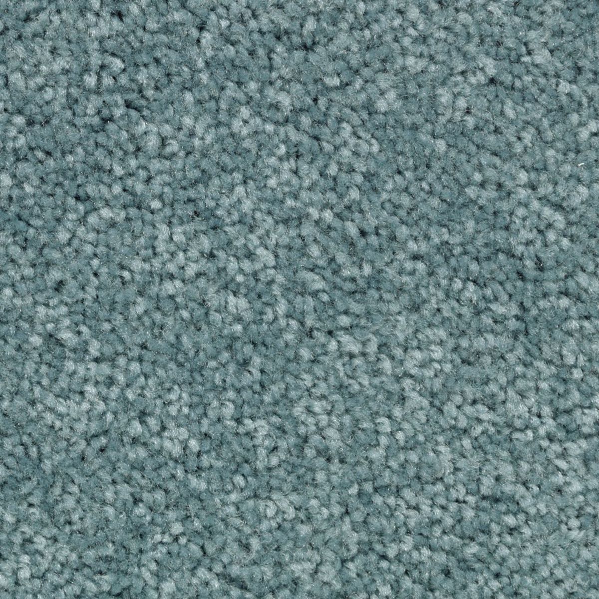 Vivid Instinct carpet in Aruba Green