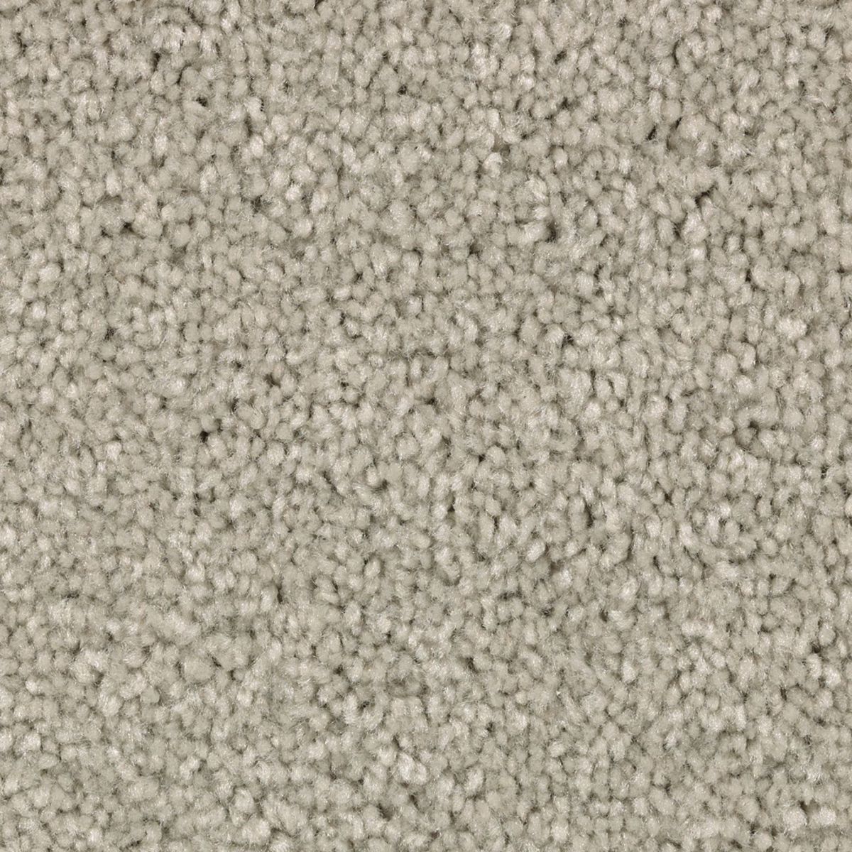 Vivid Instinct carpet in Timeless