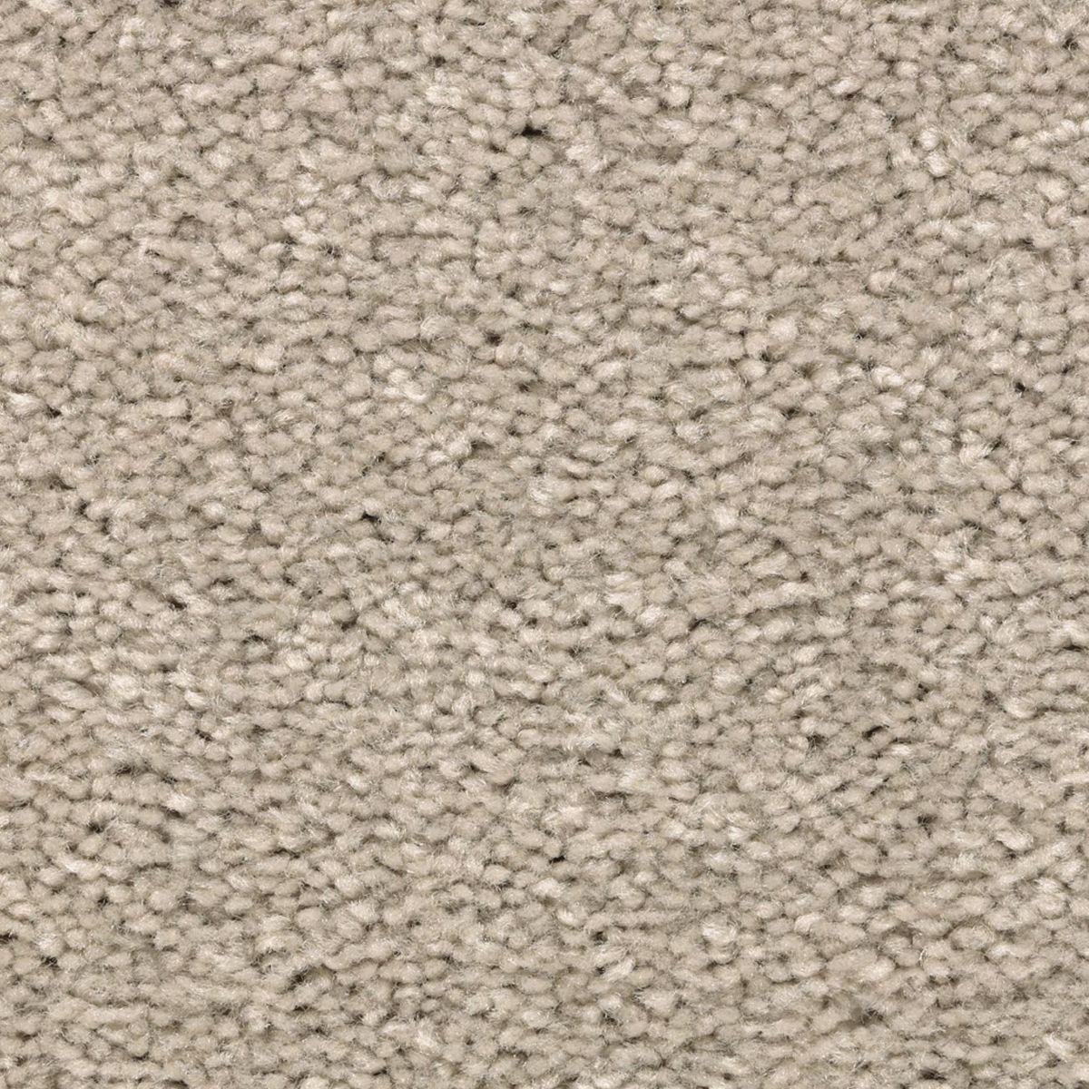 Vivid Instinct carpet in Traditional Tan