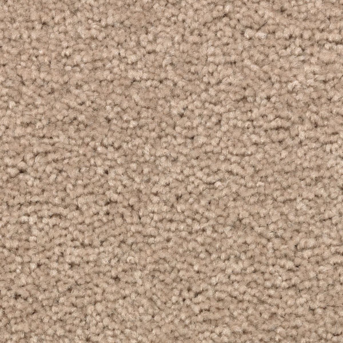 Vivid Instinct carpet in Autumn Ash