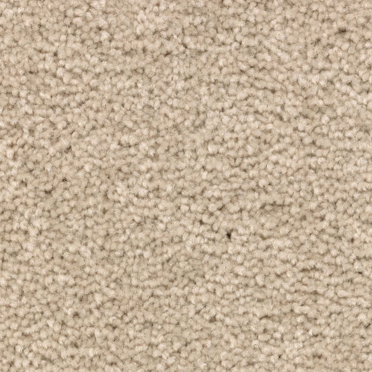 Vivid Instinct carpet in December Lace