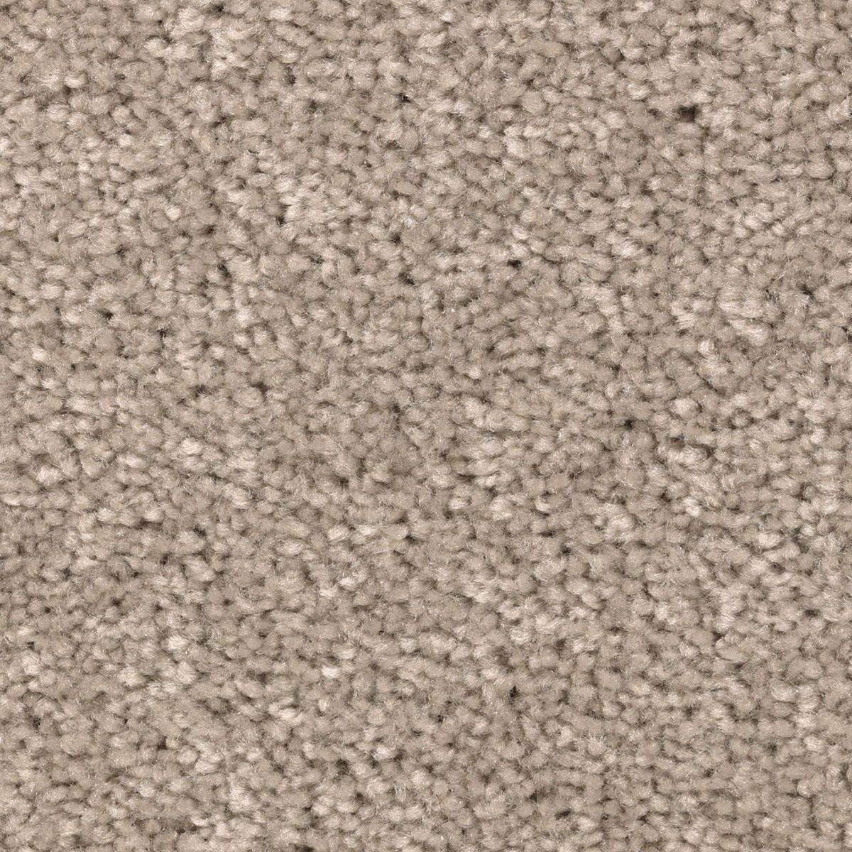 Vivid Instinct carpet in Bora Bora