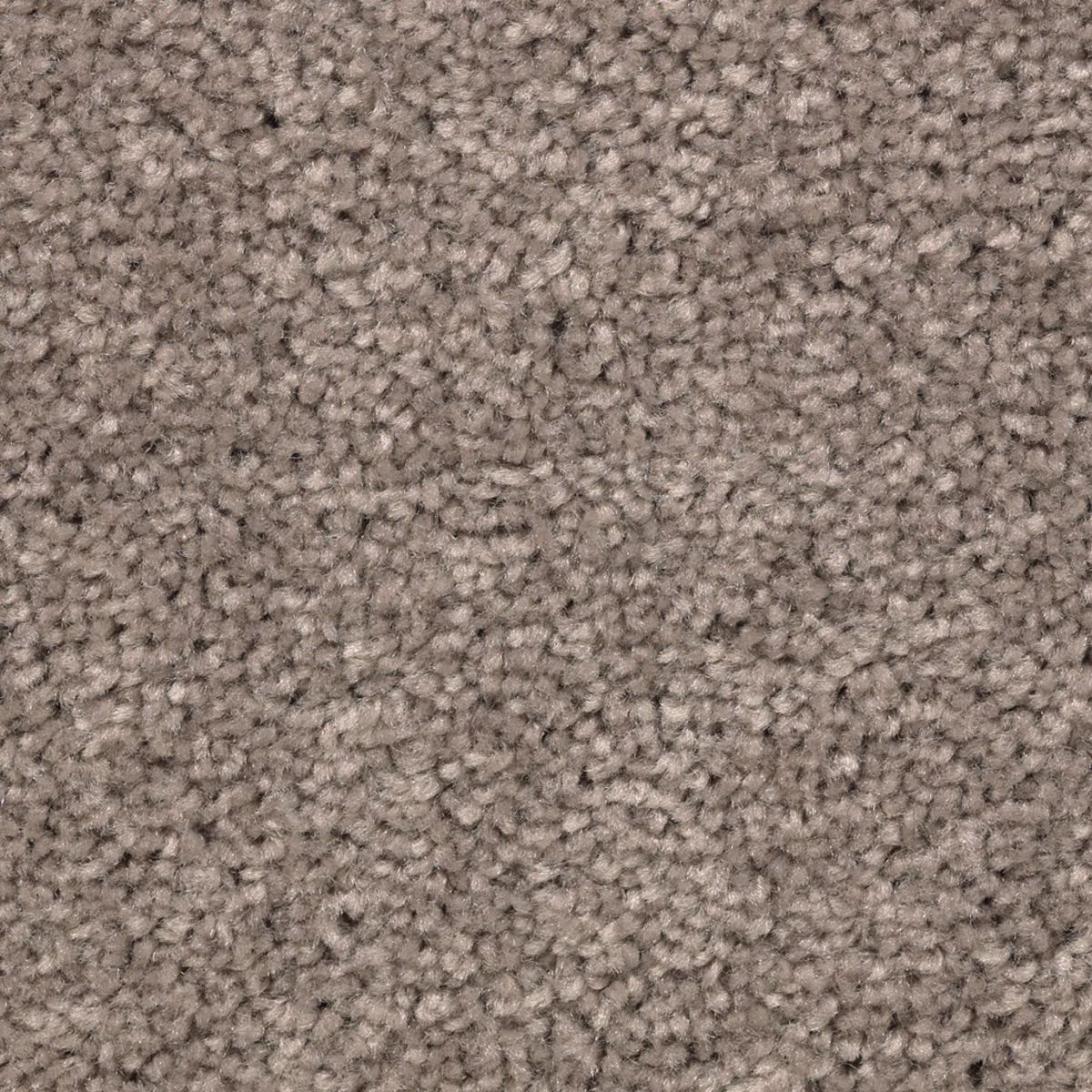 Vivid Instinct carpet in Poised Taupe
