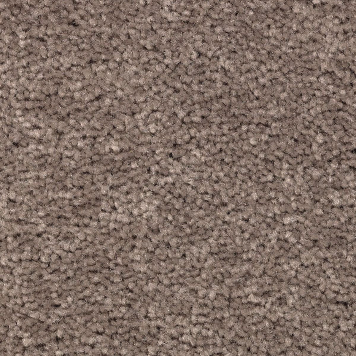 Vivid Instinct carpet in Dockside