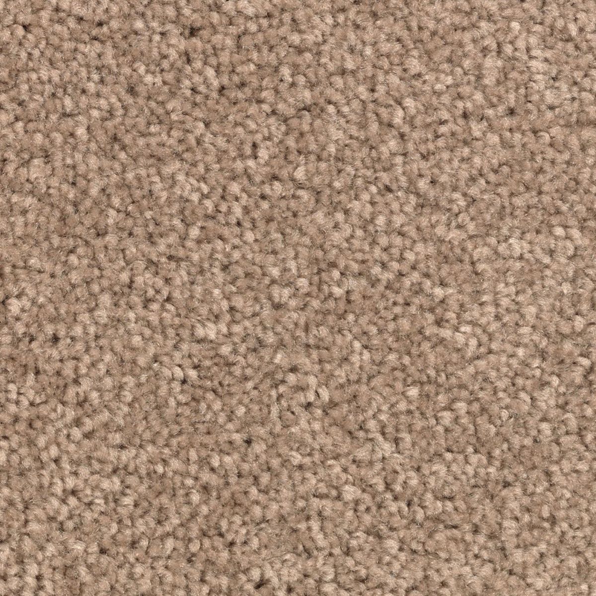 Vivid Instinct carpet in Honey Butter