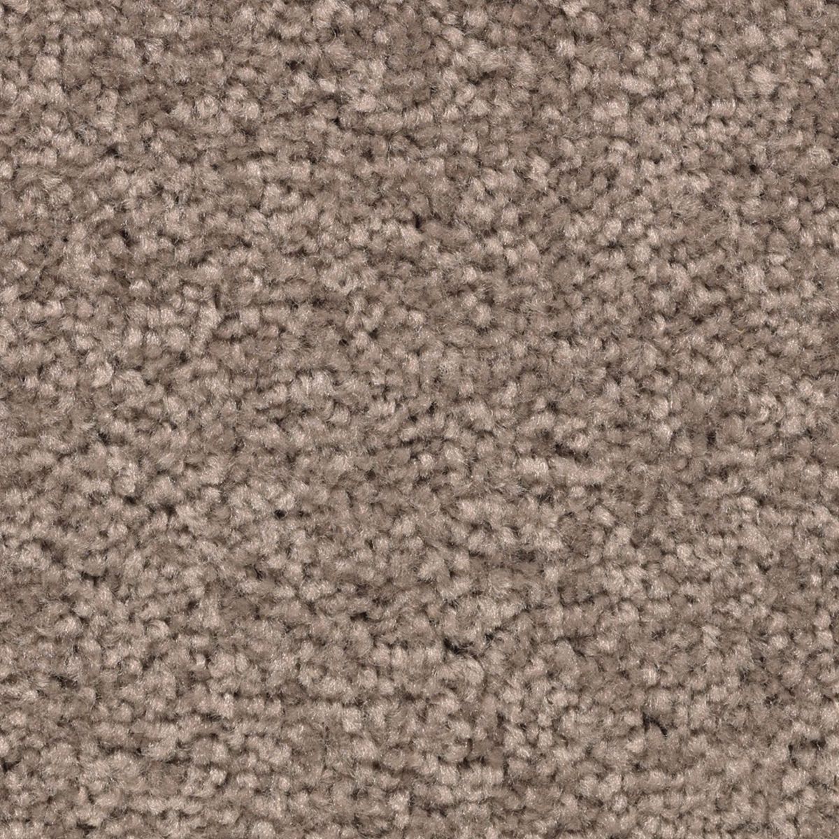 Vivid Instinct carpet in Mesquite Chip