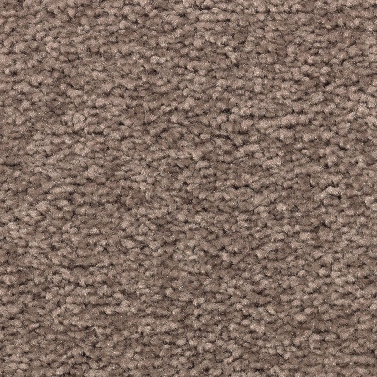 Vivid Instinct carpet in Nomad
