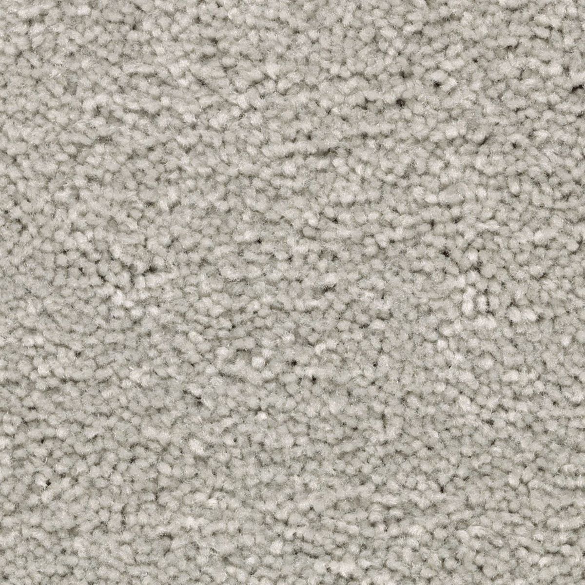 Vivid Instinct carpet in Drizzling Mist