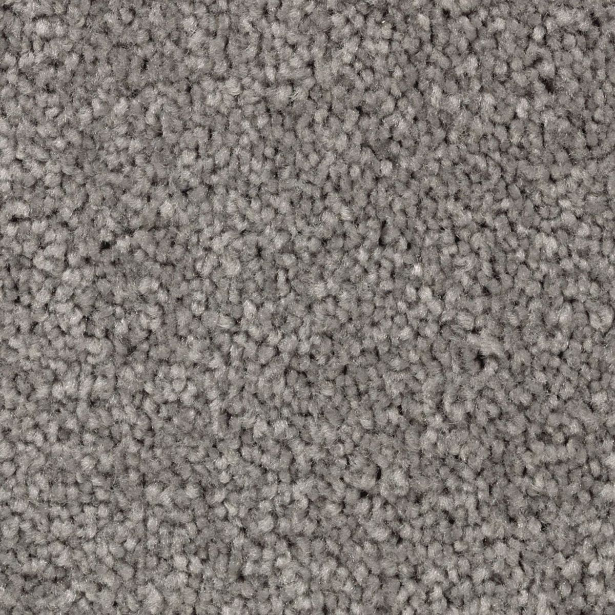 Vivid Instinct carpet in Sharkfin