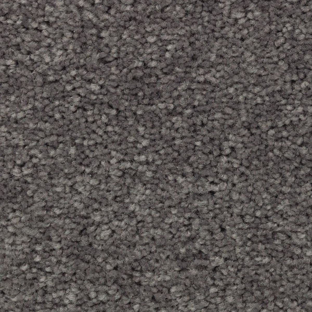 Vivid Instinct carpet in Highgate