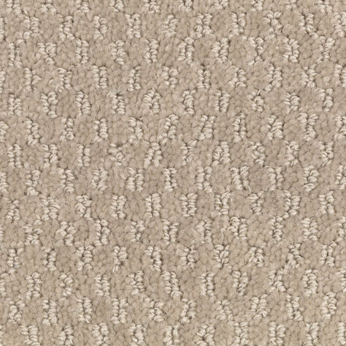 Dynamo carpet in Mushroom Cap